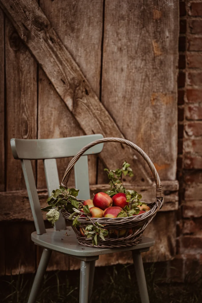 farmia kosz jabłek z krzeslem